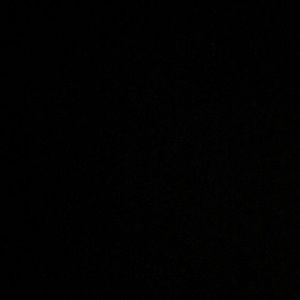 Meet your Posher, Dominique